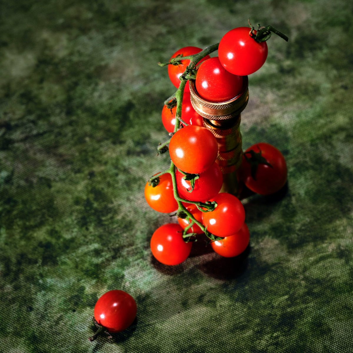 Tomato Trellis - Mini Tin Candle